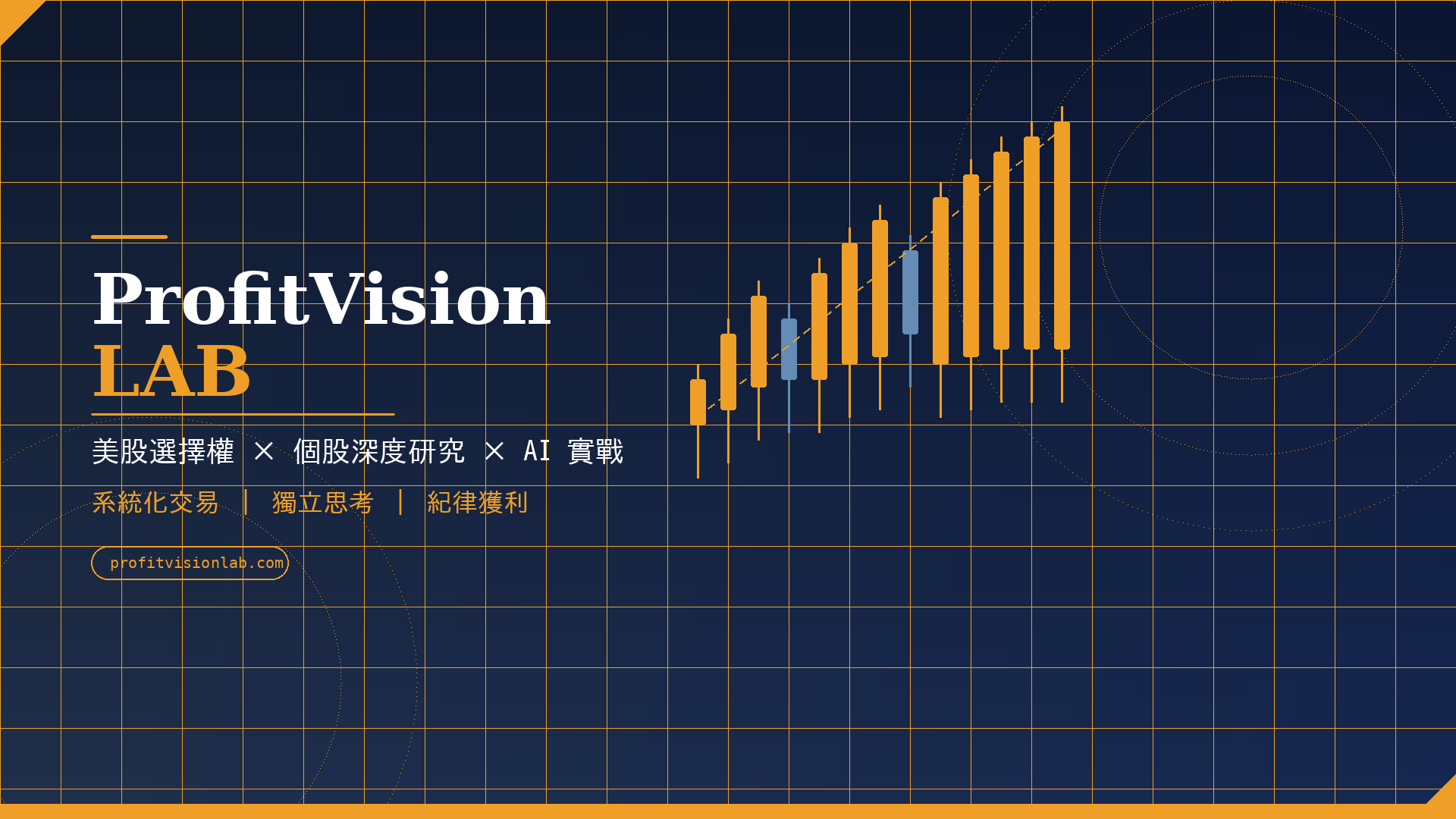 ProfitVision LAB
